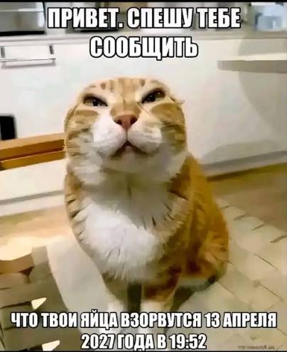 Фото в комментарии