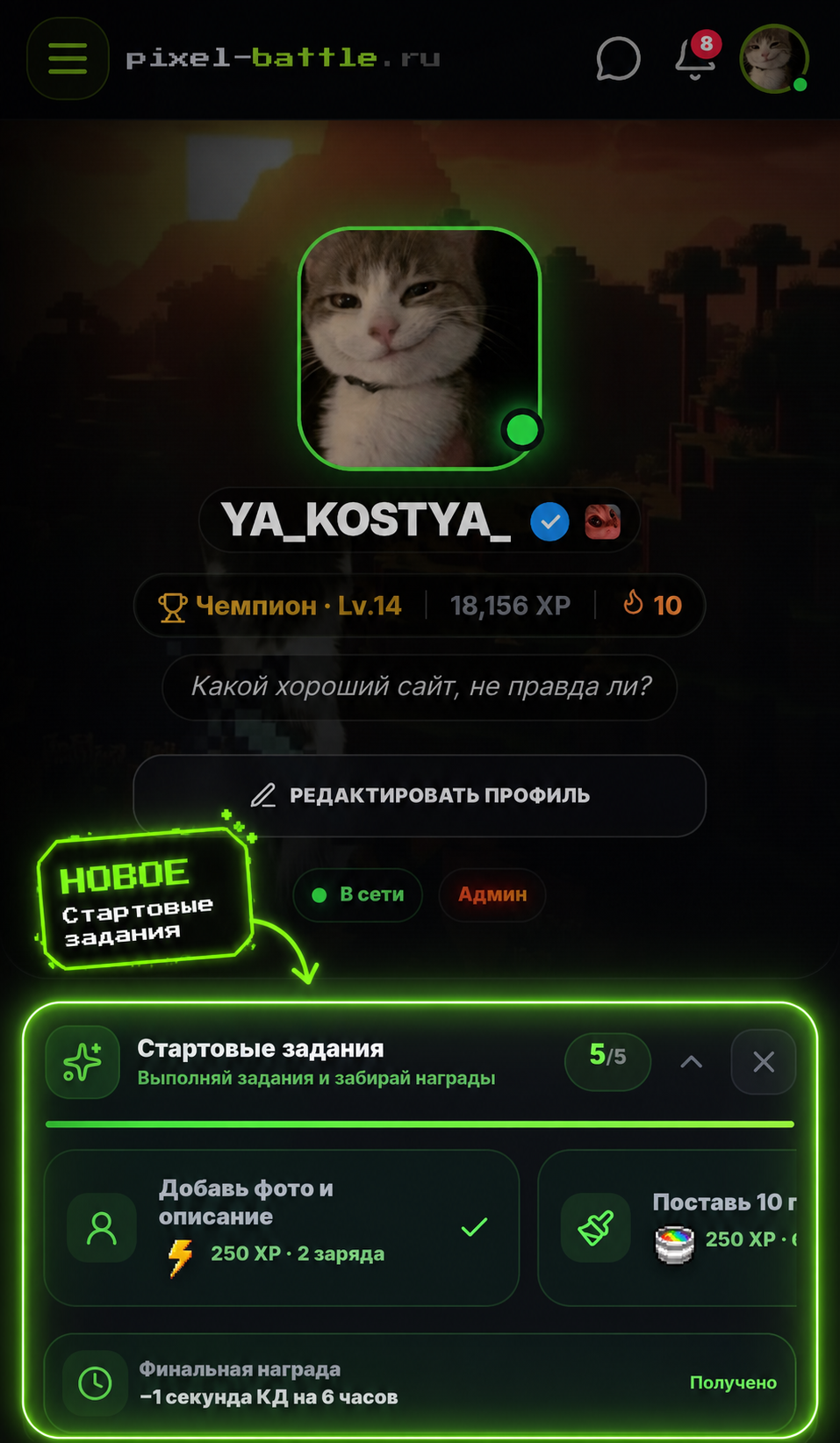 Обновление. Задания в профиле